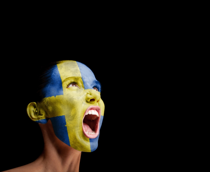 4890445-the-swedish-flag